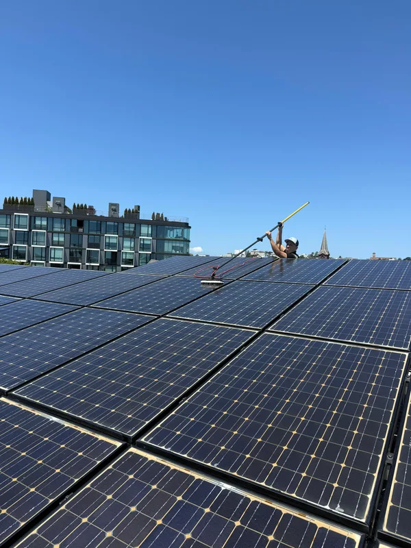 Immaculate row of solar panels absorbing maximum sunlight after being cleaned